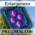 Enlargenexx 04